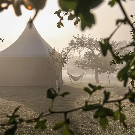 Luxury tent Pokojczech Pagoda